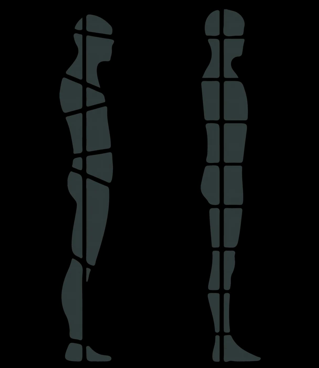 A diagram of the body in side and front view, divided into the structural segments the Soma series works through.